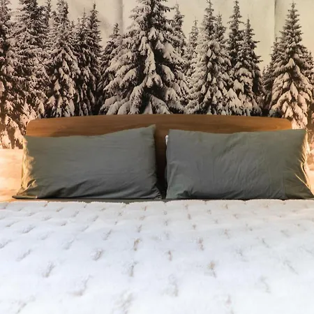 Maison Poluc - Alpine Apartahotel Champoluc