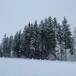 Apartahotel Maison Poluc - Alpine